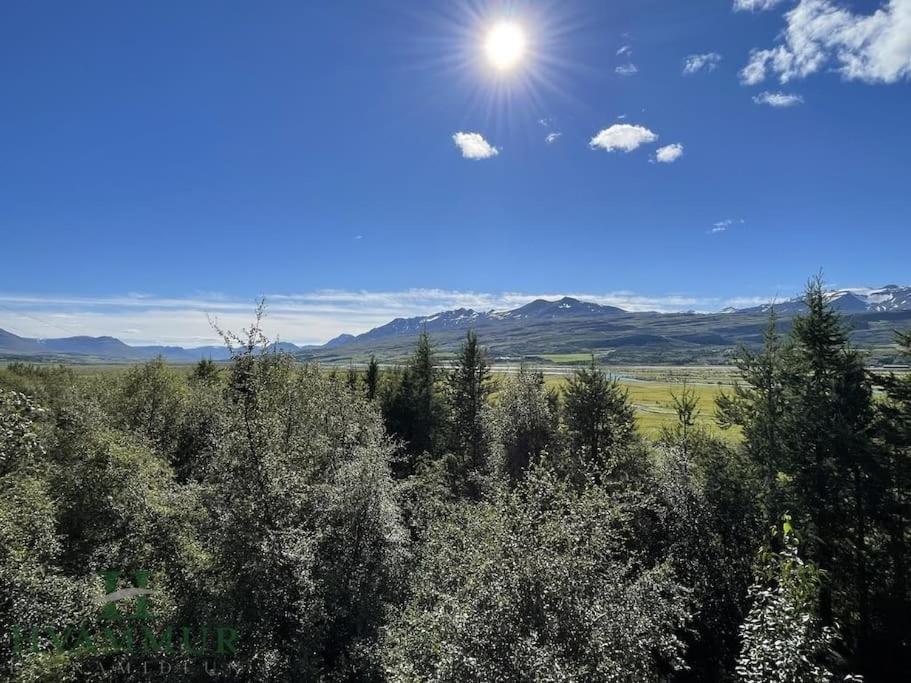 Forest Hideaway Near Akureyri Exteriér fotografie